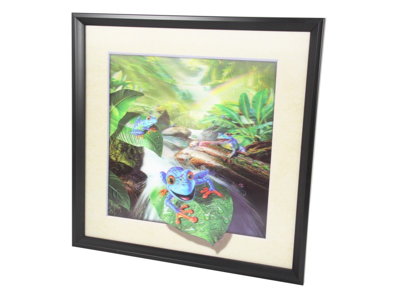 5D Frog Picture